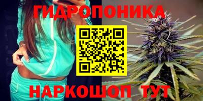 мдпв Гай