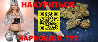 мдпв Гай