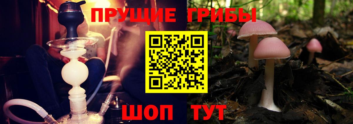 Москва  Галлюциногенные грибы мухоморы  Псилоцибиновые грибы MAGIC MUSHROOMS  Вход с VPN 